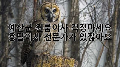 예산군 원룸이사? 걱정마세요! 용달이사 전문가가 있잖아요 😉