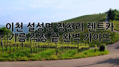 이천 설성면 장천리 렌트카, 기름 걱정 끝! 완벽 가이드